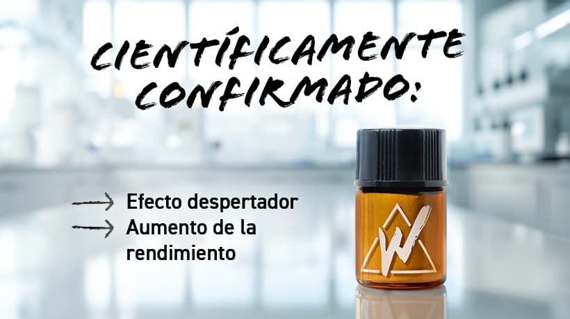 Miniatura 10